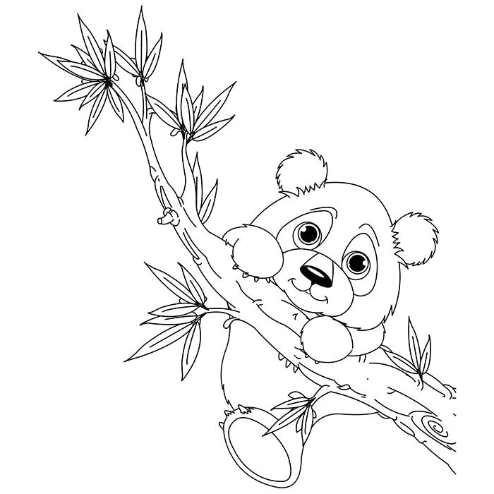 Coloriage Panda A Imprimer Gratuit Coloriage Panda Accroché   Une Branche