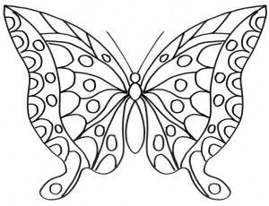 Coloriage Papillons A Imprimer Gratuit 87 Best Papillon Images On Pinterest