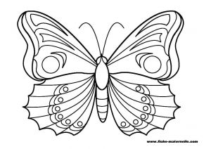 Coloriage Papillons A Imprimer Gratuit Coloriage Papillon