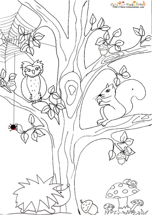Coloriage Paysage D Automne Coloriage Octobre Automne Meilleures Idées Coloriage Pour Les Enfants