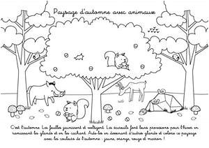 Coloriage Paysage D Automne Coloriage Paysage 4 Coloriage A Imprimer