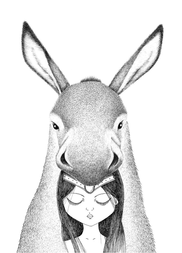 Coloriage Peau D Ane 99 Best Peau D Ane Images On Pinterest