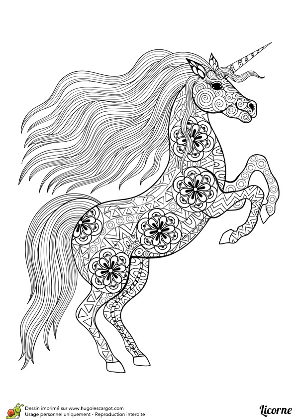 Coloriage Pegase Licorne Imprimer Dessin D Un Mandala De Licorne Debout   Colorier