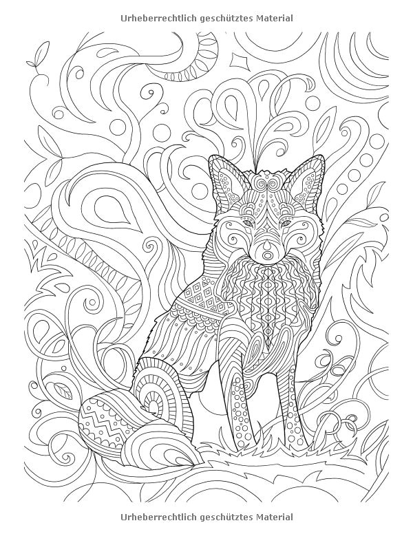 Coloriage Petit Déjeuner 457 Best Coloriage Vie Sauvage Images On Pinterest