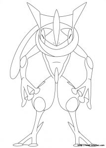 Coloriage Pokemon Amphinobi Coloriage Amphinobi