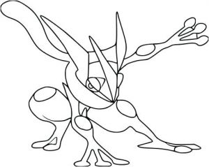 Coloriage Pokemon Amphinobi Coloriage Amphinobi Pokemon Coloriage Pokemon Amphinobi Turbo