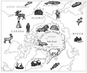 Coloriage Pole nord 167 Best La Banquise Images On Pinterest