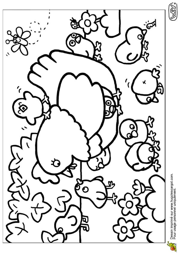 Coloriage Poussin Piou à Imprimer 77 Best Coloriages De Bébés Animaux Images On Pinterest