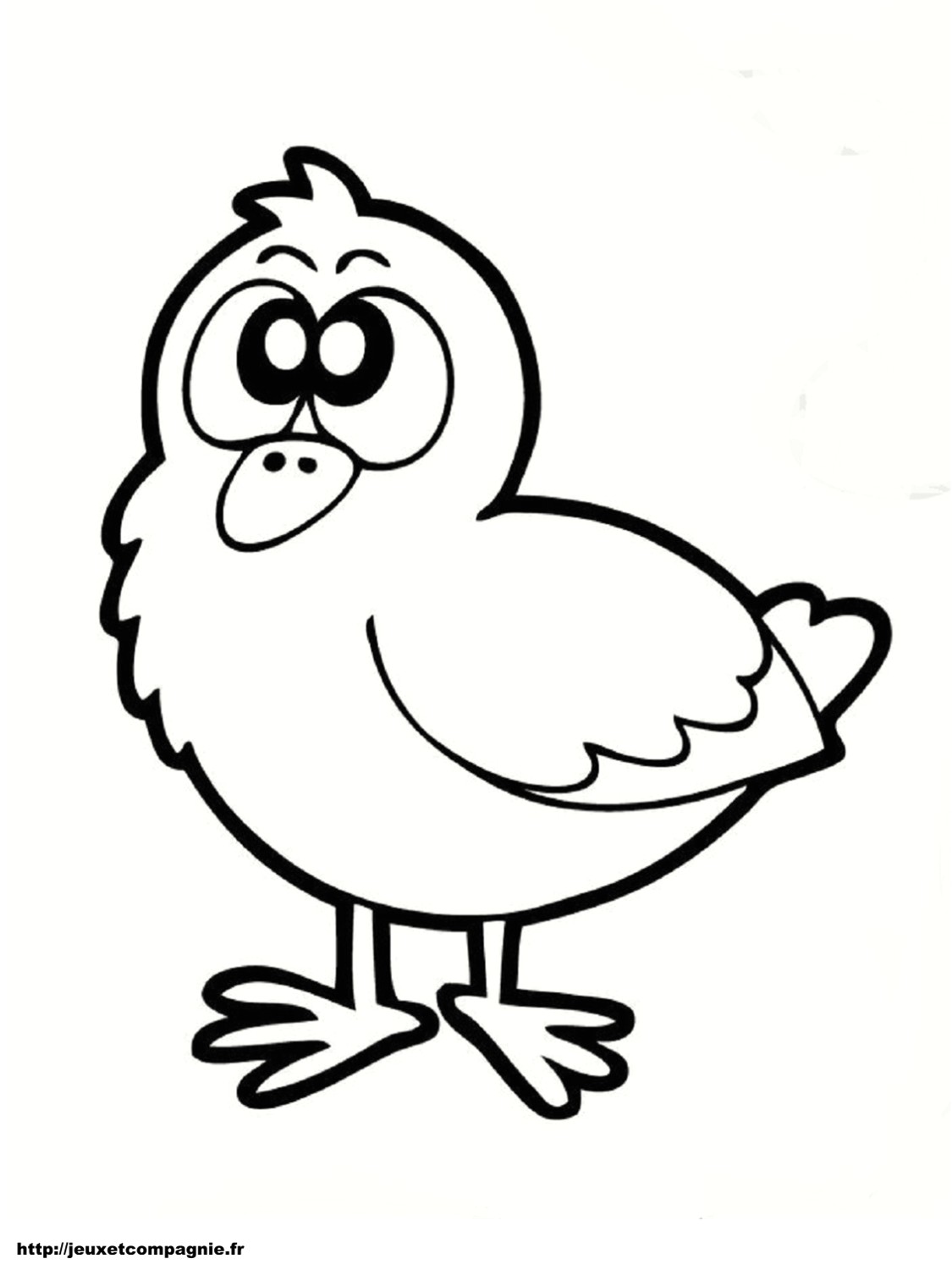 Coloriage Poussin Piou à Imprimer Coloriage De Poussin Jeu Coloriage Poussin Coloriage De Poussin
