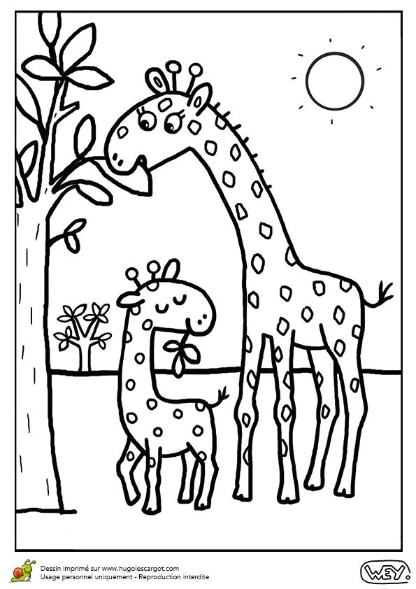 Coloriage Printemps à Imprimer Gratuit 77 Best Coloriages De Bébés Animaux Images On Pinterest