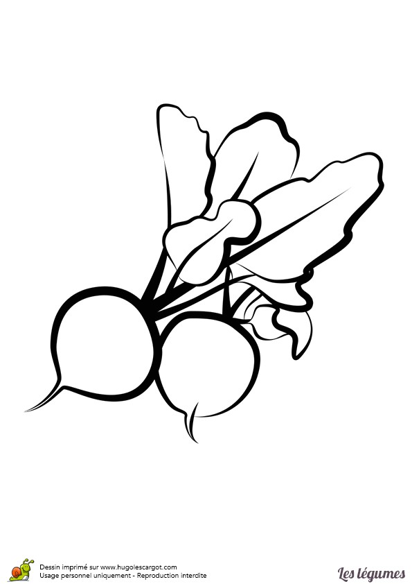 Coloriage Radis Coloriage Legumes Radis Sur Hugolescargot