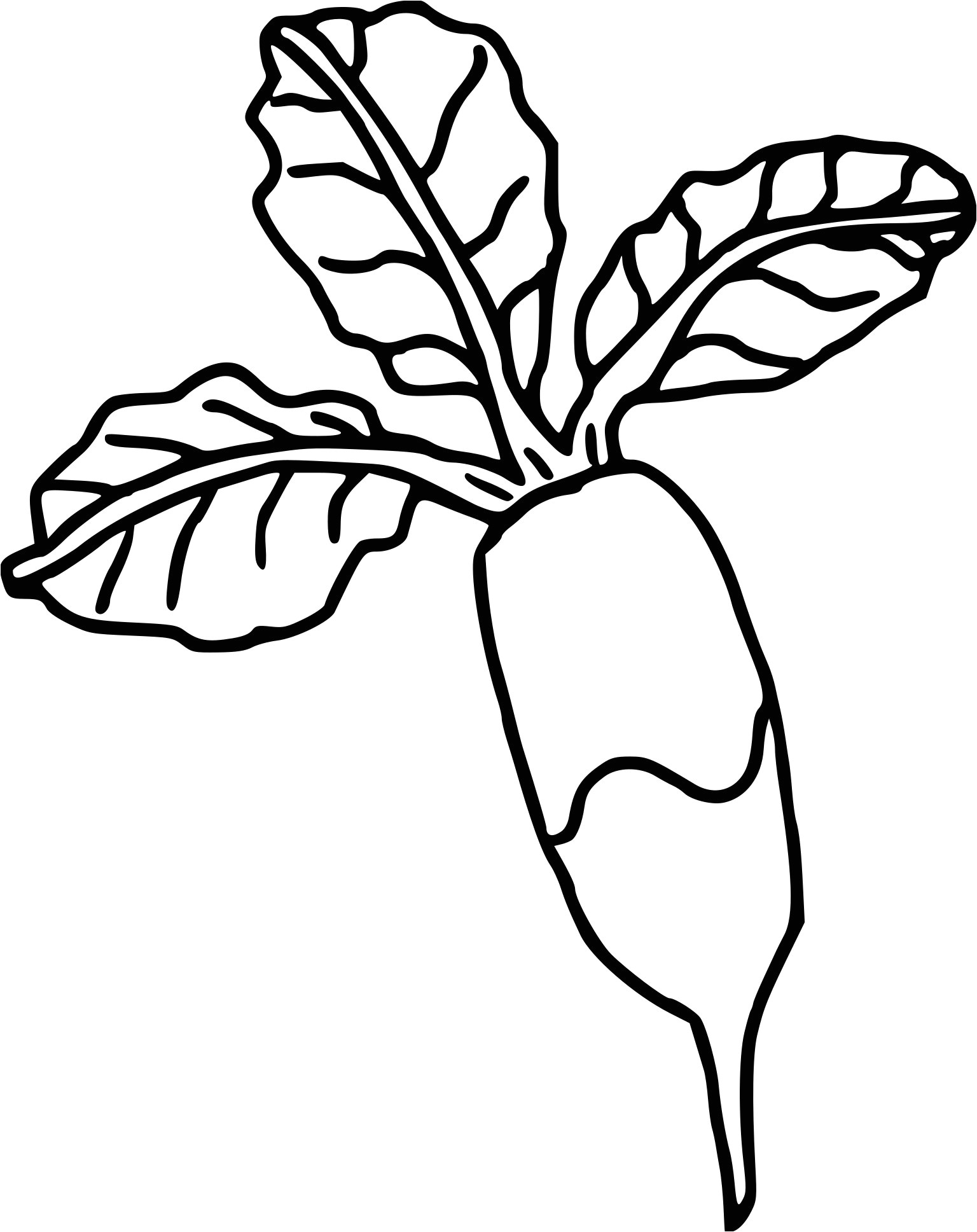 Coloriage Radis Coloriage Radis Dessin   Imprimer Sur Coloriages Fo