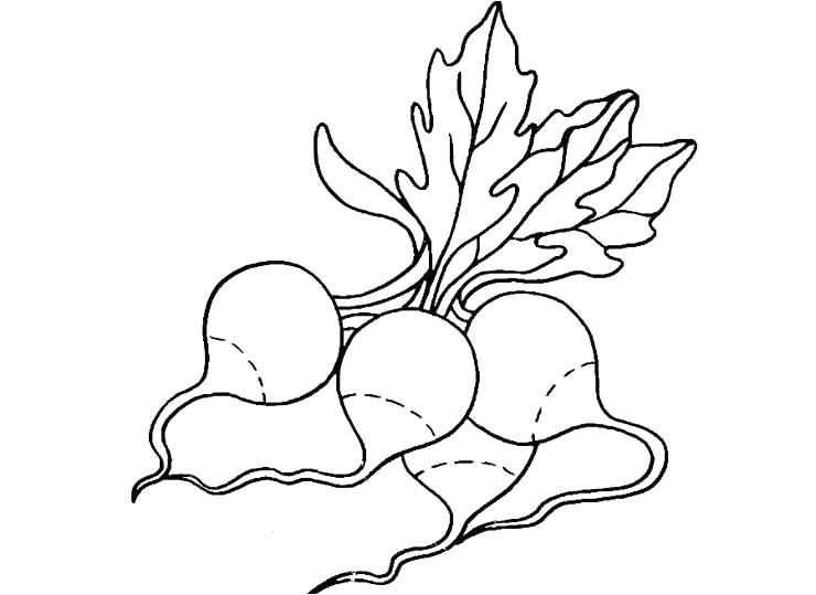 Coloriage Radis Index Coloriage Cuisine Legumes Radis De A Imprimer Radis05