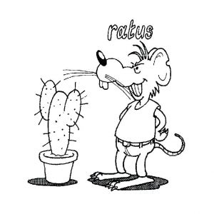 Coloriage Ratus Coloriage Ratus A Imprimer Gratuit Coloriage Cactus A Imprimer