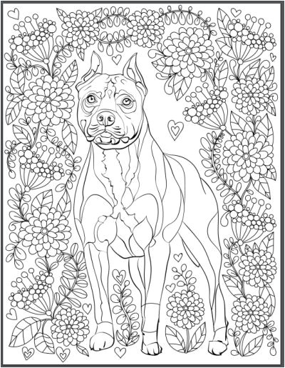 Coloriage Relief 131 Best Coloriage Chien Images On Pinterest