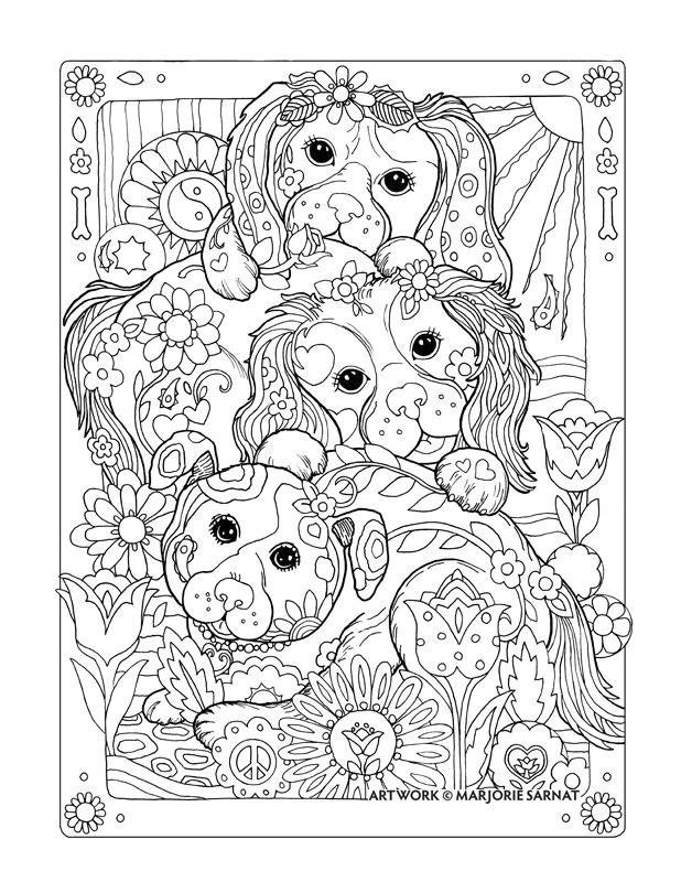 Coloriage Relief 131 Best Coloriage Chien Images On Pinterest