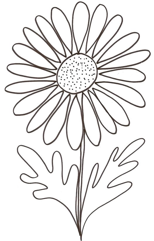 Coloriage Rosier Ment Dessiner Une Marguerite Paintings Pinterest
