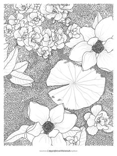 Coloriage Rosier Tuesday Sketching Flowers Design Linedrawing