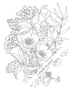 Coloriage Rosier What A Beautiful Flower Adult Coloring Page
