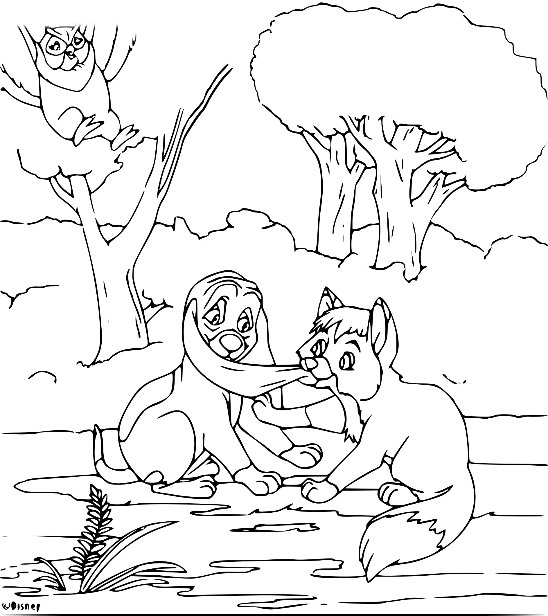Coloriage Rox Et Rouky Coloriage Rox Et Rouky Et Dessin   Imprimer