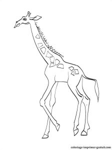 Coloriage sophie La Girafe Coloriage Et Dessin Girafe A Imprimer Gratuit sophie La – Fashionzen