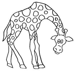 Coloriage sophie La Girafe Coloriage Magique Girafe