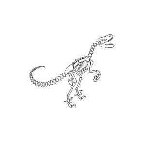 Coloriage Squelette Dinosaure 17 Meilleures Idées   Propos De Coloriage De Dinosaure Sur Pinterest