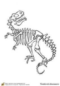 Coloriage Squelette Dinosaure Coloriage De Fossiles De Dinosaures Squelette De Triceraptor