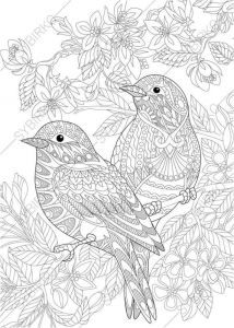 Coloriage Stylé 1487 Best Coloriages Images On Pinterest