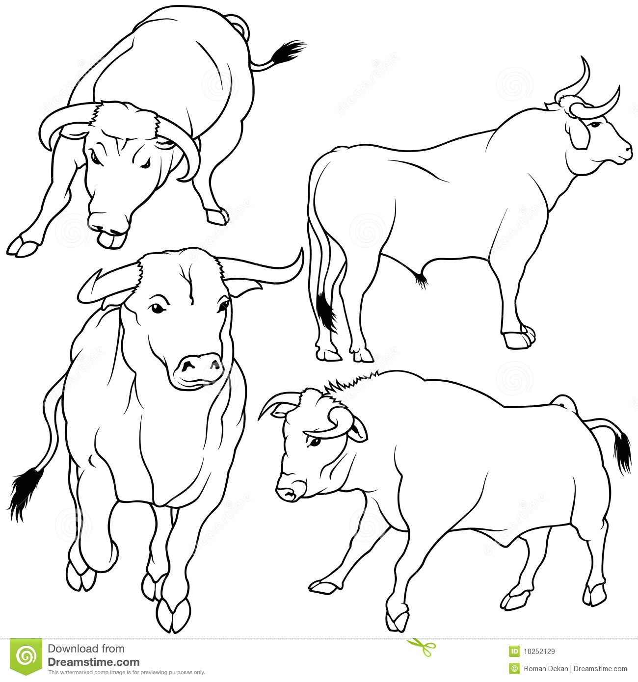 Coloriage Taureau Corrida Coloriages Taureau Les Animaux