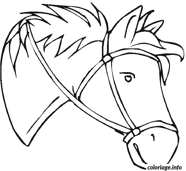 Coloriage Tete De Cheval A Imprimer Coloriage Tete De Cheval Dessin   Imprimer Xoomy