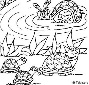 Coloriage tortue De Terre 185 Best Coloriages Animaux Sur Terre Images On Pinterest