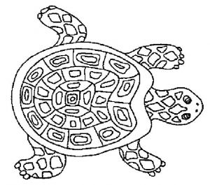 Coloriage tortue De Terre 50 Best Turtles Images On Pinterest