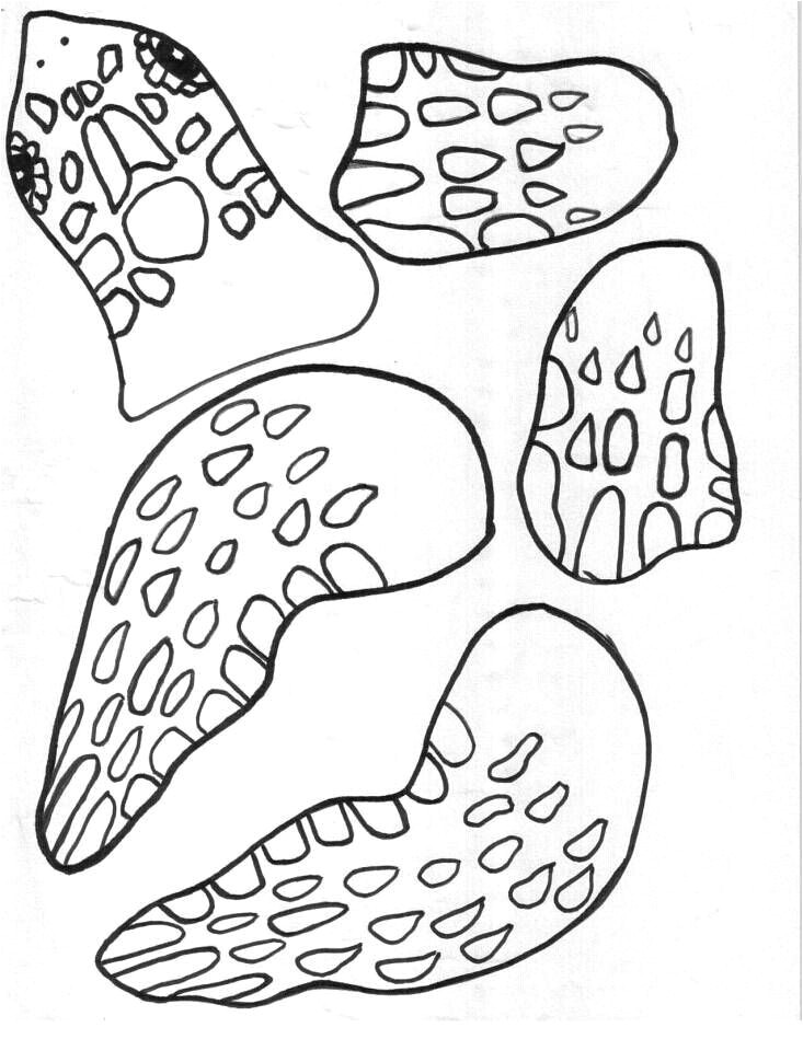 Coloriage tortue De Terre 68 Best Coloriages Animaux Marins Images On Pinterest Coloriage tortue De Terre 68 Best Coloriages Animaux Marins Images On Pinterest