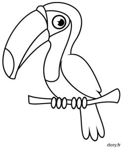 Coloriage toucan A Imprimer Dessin Imprimer Un toucan Dory Coloriages