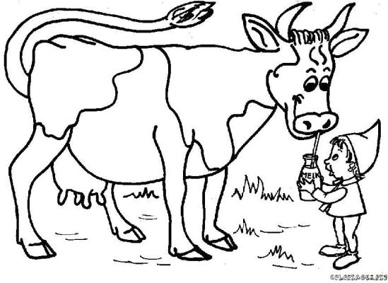 Coloriage Vache Qui Rit Dessin  Colorier Vache Qui Rit