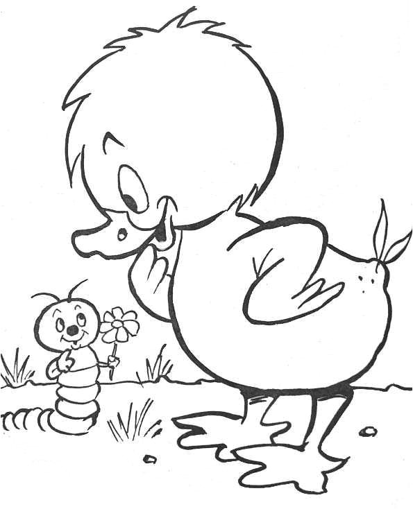 Coloriage Ver De Terre 30 Best Coloriages 4 éléments Images On Pinterest