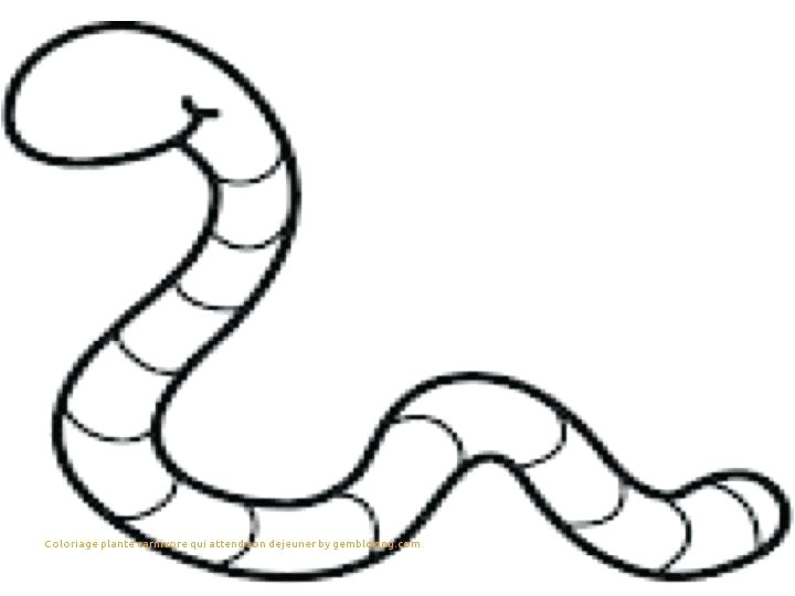 Coloriage Ver De Terre February 2018 – Page 5 – Onestatefo