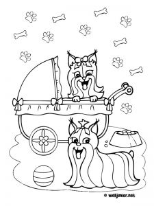 Coloriage Yorkshire Coloriage Yorkshire Chiots Yorkshire Coloriage Animaux Gratuit Sur