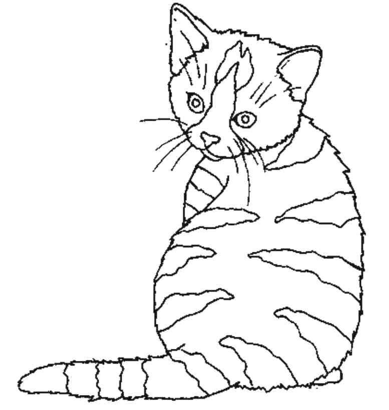 Coloriages De Chats A Imprimer Gratuits Chaton 44 Animaux Coloriages A Imprimer Coloriage Sapin De Noel