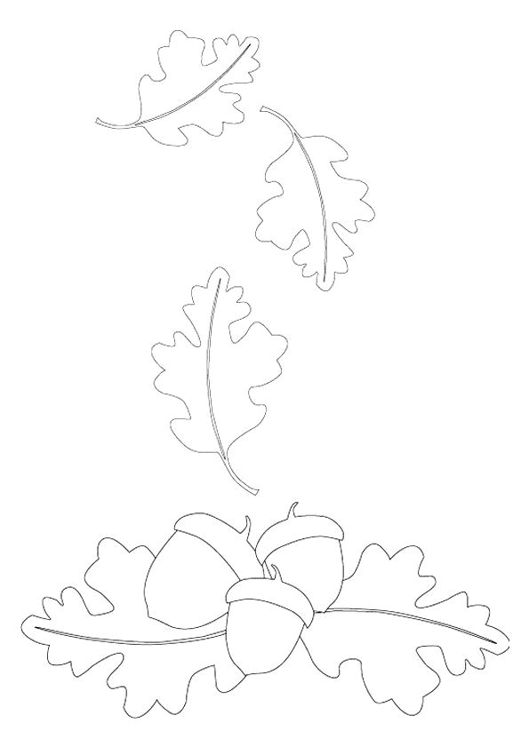 Coloriages Feuilles D Automne 318 Best Coloriages De Fleurs Et Nature Images On Pinterest