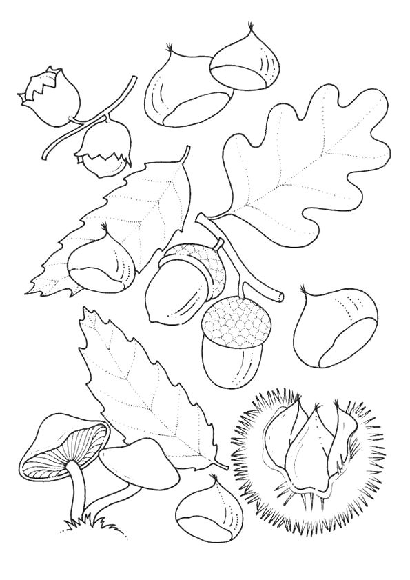 Coloriages Feuilles D Automne 68 Best Coloriage Enfants Images On Pinterest