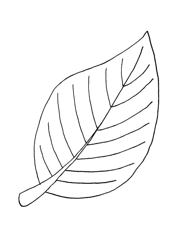Coloriages Feuilles D Automne 9 Best Droits De L Enfant Images On Pinterest