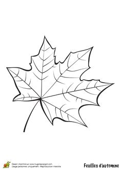 Coloriages Feuilles D Automne Dessin Coloriage Feuille Automne Pinterest
