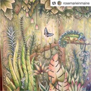 Crayon De Couleur Pour Coloriage Adulte épinglé Par Liline Sur Coloriage Pinterest