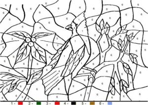 Faire Un Coloriage Magique Sur L ordinateur 52 Best Coloriages Magique Images On Pinterest