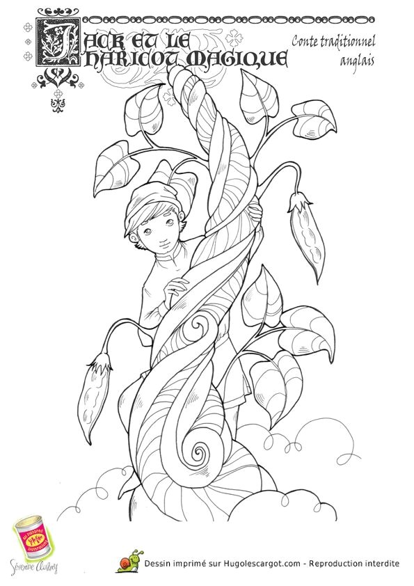 Jack Et Le Haricot Magique Coloriage 65 Best Jack& Albums Et Sciences Images On Pinterest