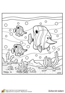 Jeux De Coloriage Des Animaux 77 Best Coloriages De Bébés Animaux Images On Pinterest
