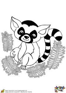 Jeux De Coloriage Des Animaux Coloriage D Un Mignon Bébé Lémurien