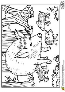 Jeux De Coloriage Pour Enfant 77 Best Coloriages De Bébés Animaux Images On Pinterest